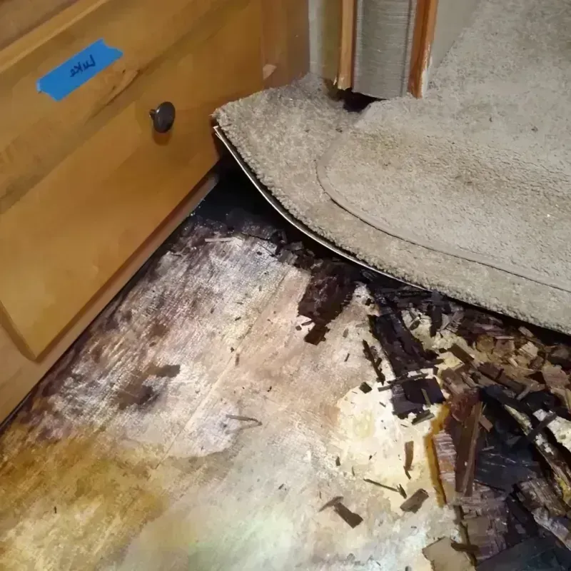 Best Wood Floor Water Damage Service in Flint, MI